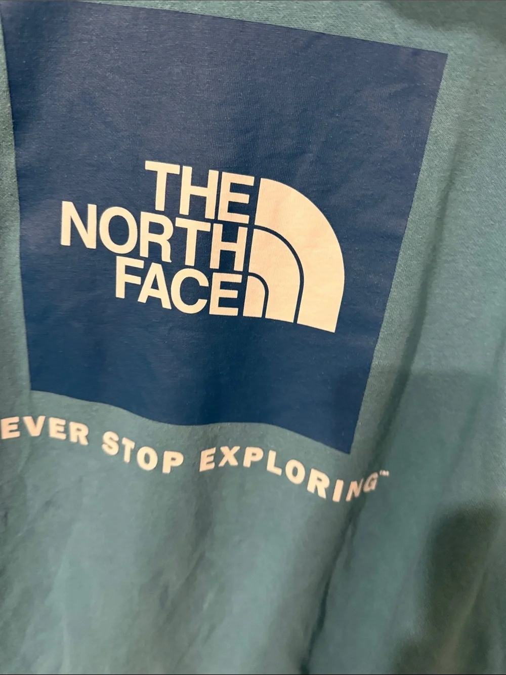 The North Face Men's Teal Pullover Hoodie Logo graphic L Large sweatshirt aqua